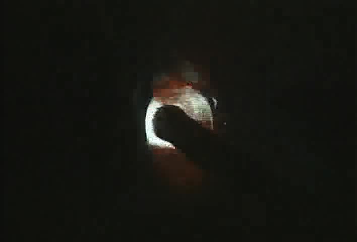 17. Fillet weld, T-joint, vertical position, up