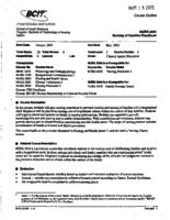 NURS 3034 - Nursing of Families Practicum