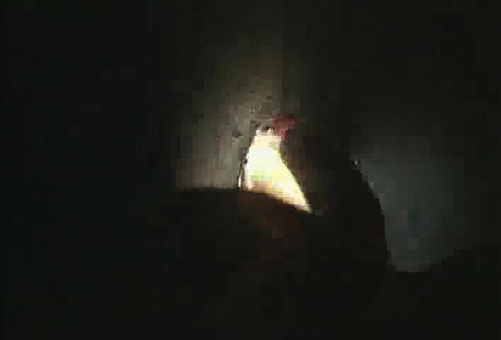 32. Multi-pass fillet weld, T-joint, vertical position, up (E7018)