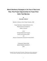 Marsh resiliency strategies in the face of sea-level rise: Pilot project opportunities for Fraser River delta tidal marshes