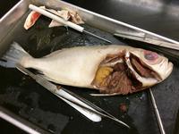 Bony Fish - Image 22