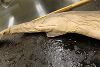 Dogfish - Image 16