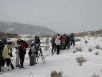 FWR students scoping out wolves