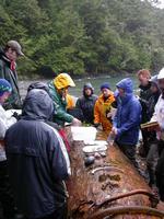 FWR students learning about intertidal marine life with fisheries instructor Dr. Marvin Rosenau