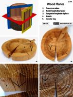 Angiosperm & gymnosperm wood PDF