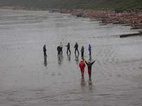 FWR students exploring marine ecosystems at Long Beach (Pacific Rim National Park Reserve)