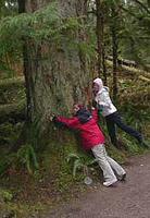 FWR students & old growth trees at Cathedral Grove