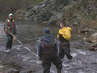 FWR students conducting a stream survey along Weaver Creek