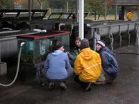 FWR students learning fish culture techniques at Chehalis Hatchery (juvenile salmonid display tank)