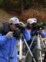 FWR students conducting sea bird surveys at Stanley Park