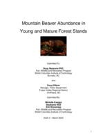 Mountain beaver abundance in young and mature forest stands