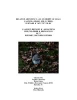 Relative abundance and diversity of small mammals along Still Creek, Burnaby and Vancouver, BC.