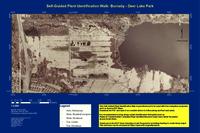 Self-Guided Plant Identification Walk: Burnaby - Deer Lake Park