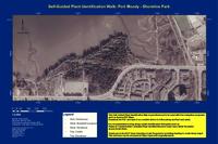 Self-Guided Plant Identification Walk: Port Moody - Shoreline Park
