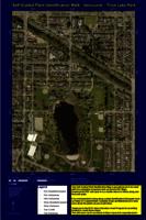 Self-Guided Plant Identification Walk: Vancouver - Trout Lake Park