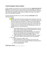 Unknown Assignment for Open Education (.docx version)