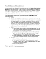 Unknown Assignment for Open Education (.odt version)