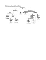 Dichotomous Key for Instructor (.docx version)