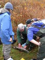 Rod MacVicar demonstrates field side dissection