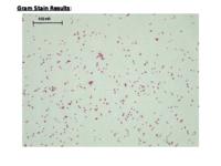 E. aerogenes data set (.pptx version)