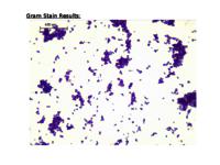 S. aureus data set (.pptx version)