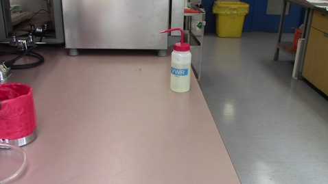Video 1 - Pouring Agar Plates