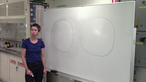 Video 3 - Whiteboard demo of a streak plate