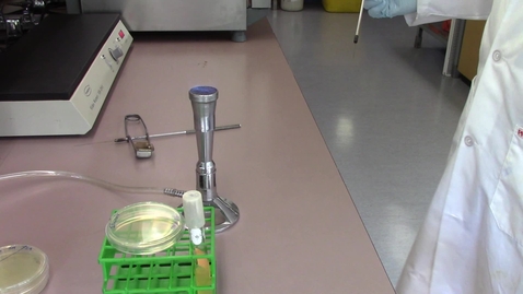 Video 4 - Preparing streak plates