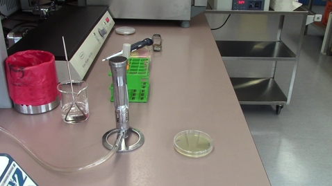 Video 7 - Preparing spread plates