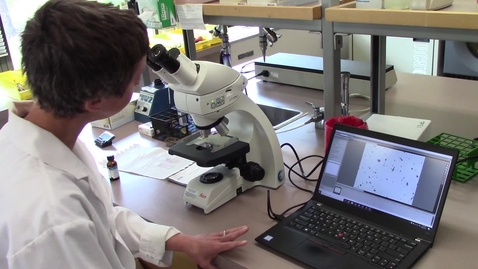 Video 11 - Microscope orientation