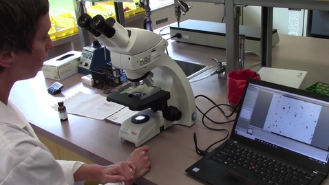 Video 12 - Getting your cells in focus
