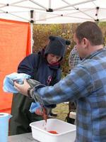 FWR student Michelle Knaggs collecting eggs