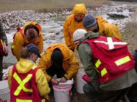 FWR students learning to "dye and tag" fish