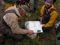 FWR students preparing to measure and tag rainbow trout