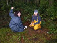 Amphibian field lab image 4
