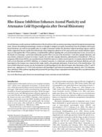 Rho-kinase inhibition enhances axonal plasticity and attenuates cold hyperalgesia after dorsal rhizotomy