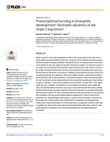 Transcriptional bursting in drosophila development
