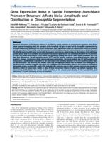 Gene expression noise in spatial patterning
