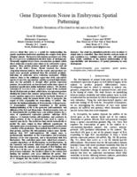 Gene expression noise in embryonic spatial patterning