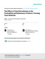 The effects of gene recruitment on the evolvability and robustness of pattern-forming gene networks