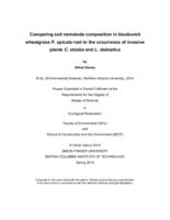 Comparing soil nematode composition in bluebunch wheatgrass P. spicata root to the occurrence of invasive plants C. stoebe and L. dalmatica