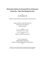 Restoration options for Nicomekl River anadromous salmonids – Elgin Road Bridge Sea Dam