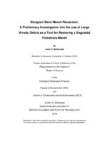 Sturgeon Bank marsh recession: A preliminary investigation into the use of large woody debris as a tool for restoring a degraded foreshore marsh