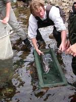 FWR student Colin Bailey setting a Gee or minnow trap