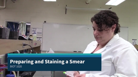  Microbiology Lab Basics: Preparing and Staining a Smear