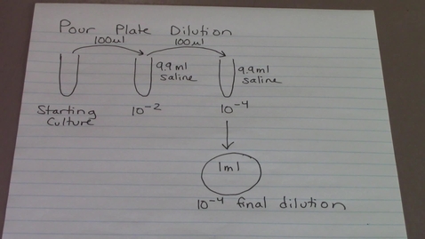 Video 5 - Preparing a dilution series