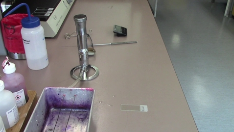 Video 10 - Preparing a gram stain